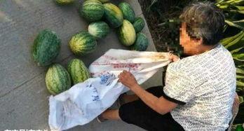 武安吃瓜爆料最新,揭秘娱乐圈最新热点事件 第3张 武安吃瓜爆料最新,揭秘娱乐圈最新热点事件 第3张